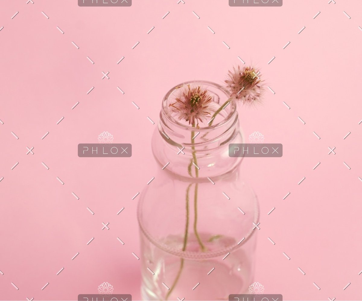 Basket of Flower on table